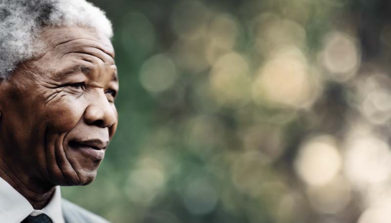 Nelson Mandela: From Prisoner to President of South Africa